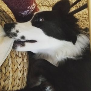 Meet your Posher, Lauryn